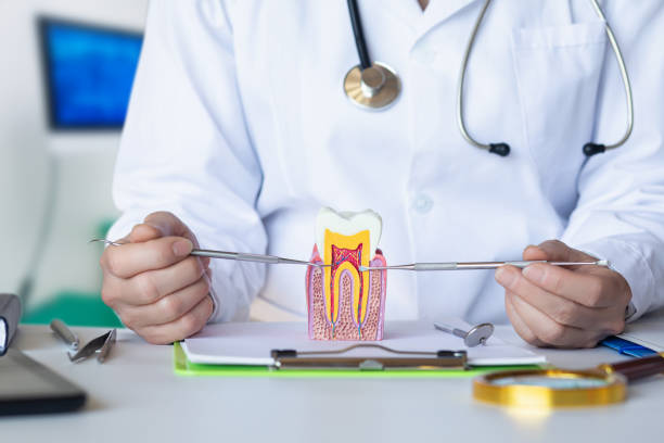Best Weekend Emergency Dentist in Charlotte Park, FL